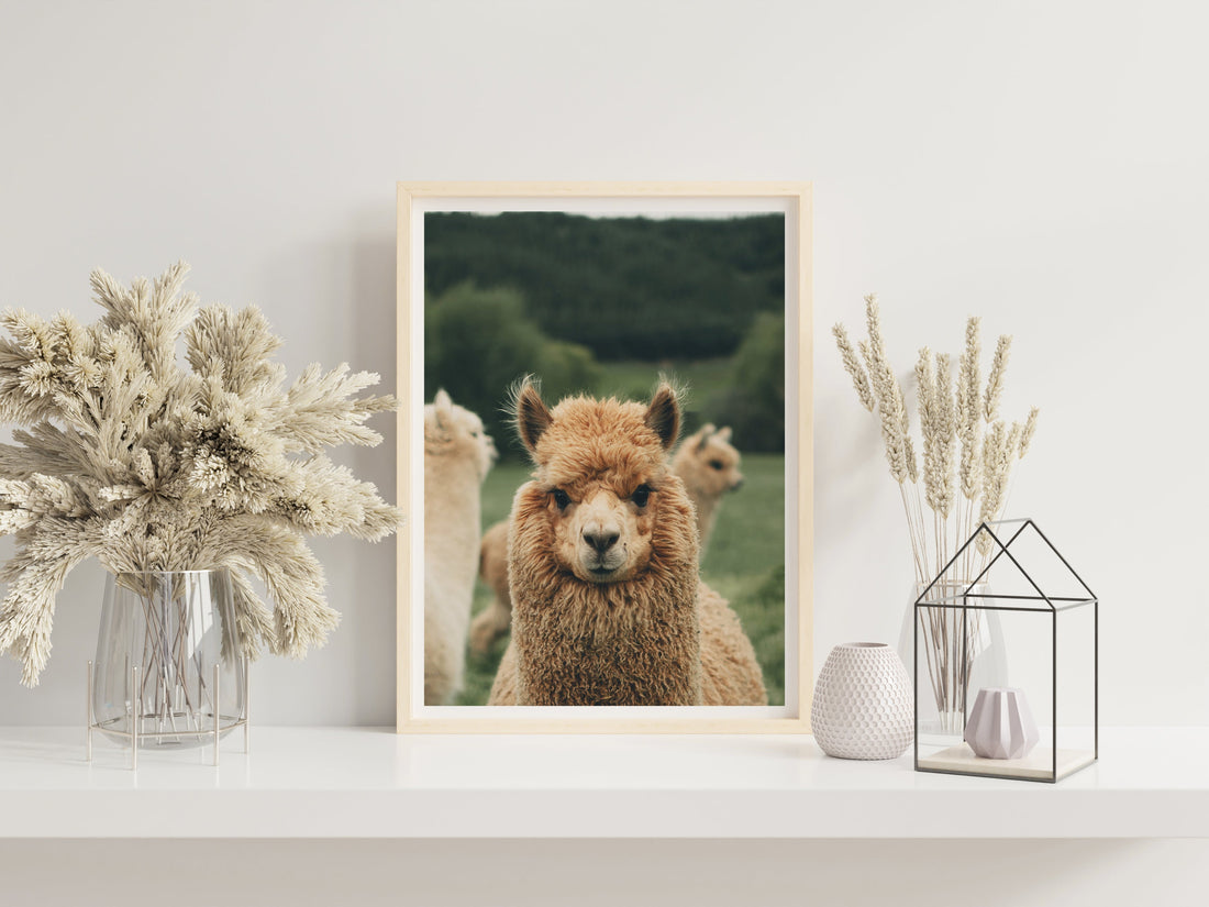 How-to print your digital art