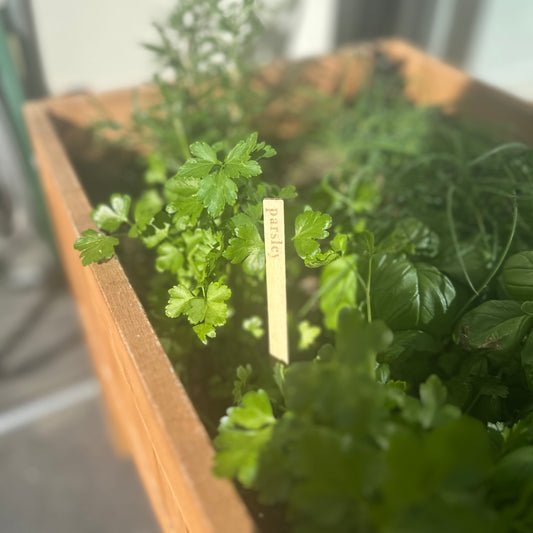 Classic Wooden Herb Garden Stakes - Set of 12