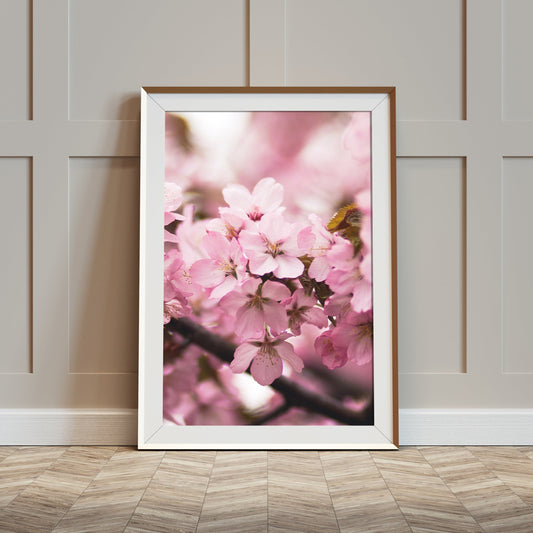 Cherry Blossoms Printable Wall Art